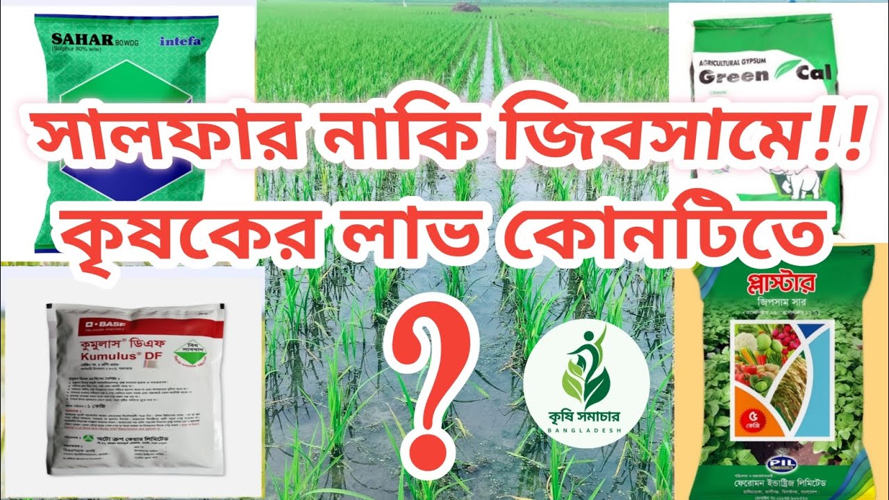 সালফার নাকি জিবসামে কৃষকের লাভ কোনটিতে,,,