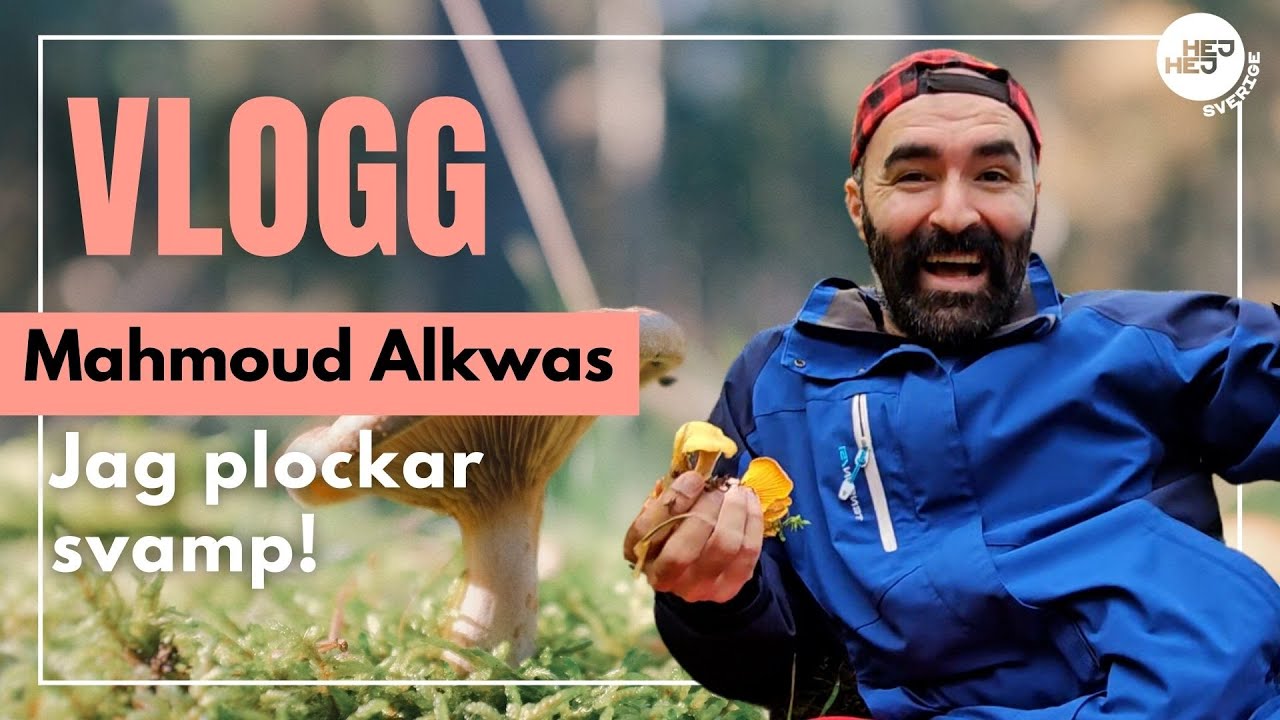 Lär dig plocka svamp | Mahmouds svamptips | Laga mat med kantareller | A day in life in Sweden -Vlog