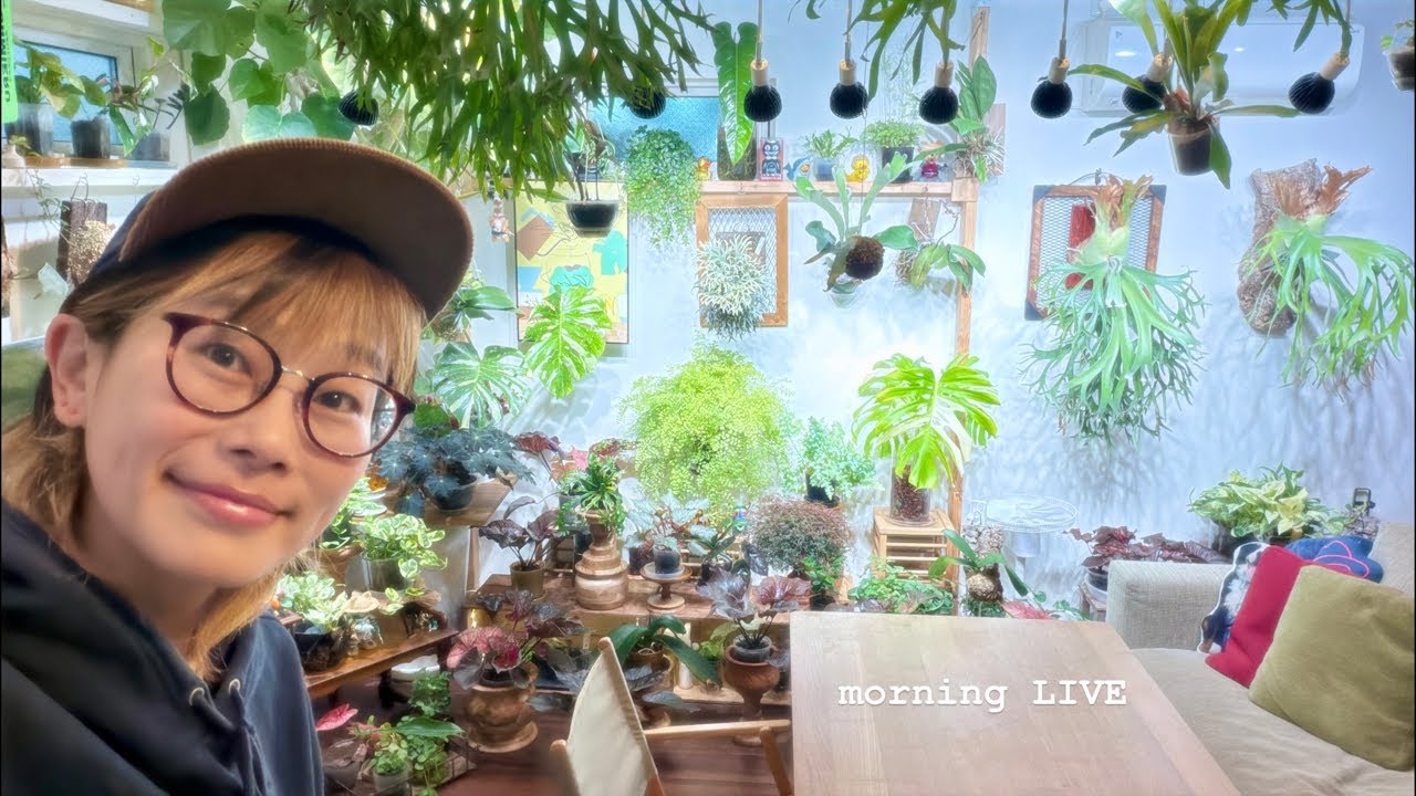 花森さん２月25日morning LIVE🍤