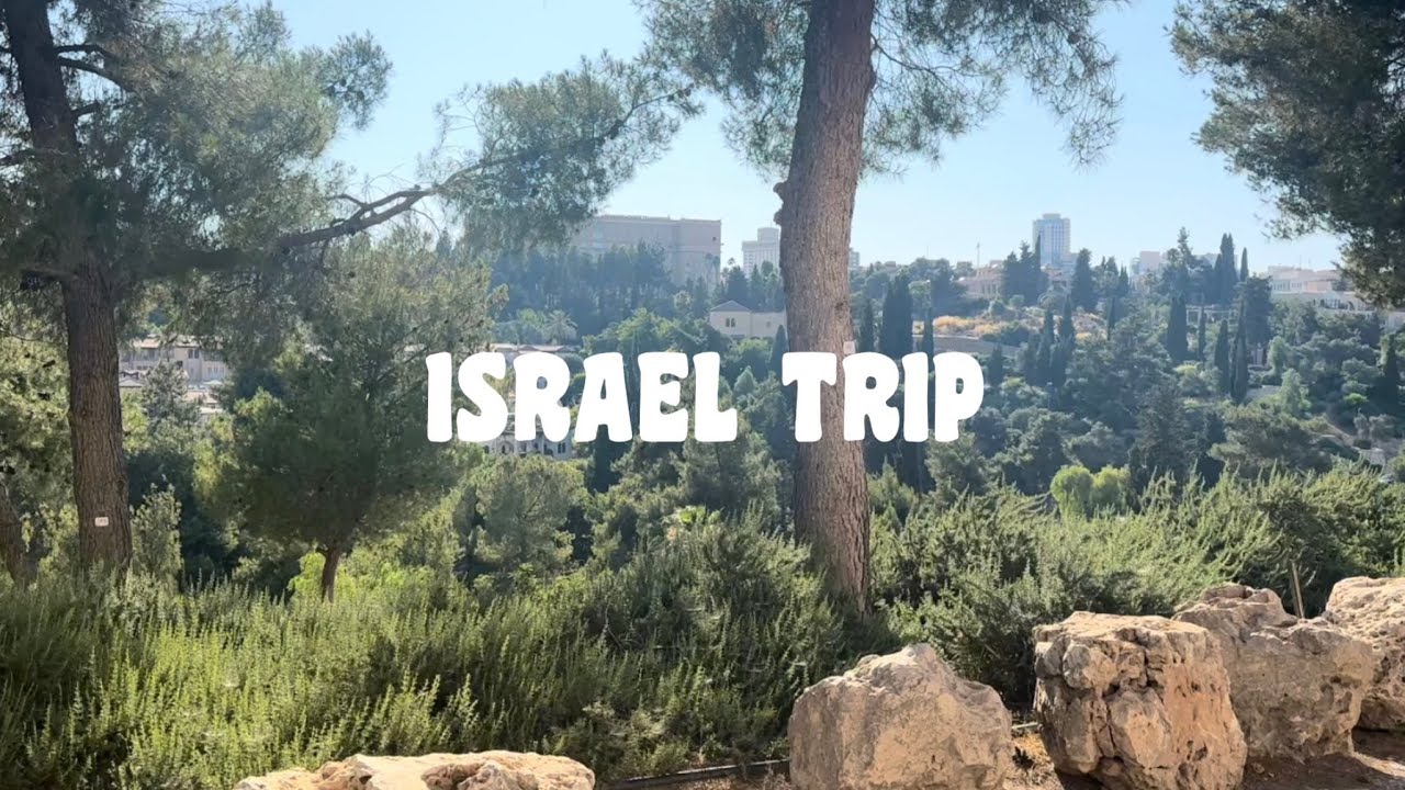 A business trip in Israel (2023)