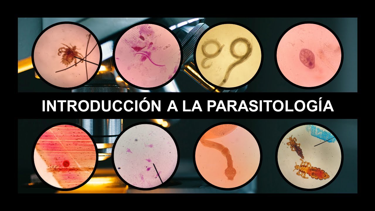 INTRODUCCIÓN A PARASITOLOGÍA: Generalidades, clasificación, tipos de huéspedes y mecanismos de daño