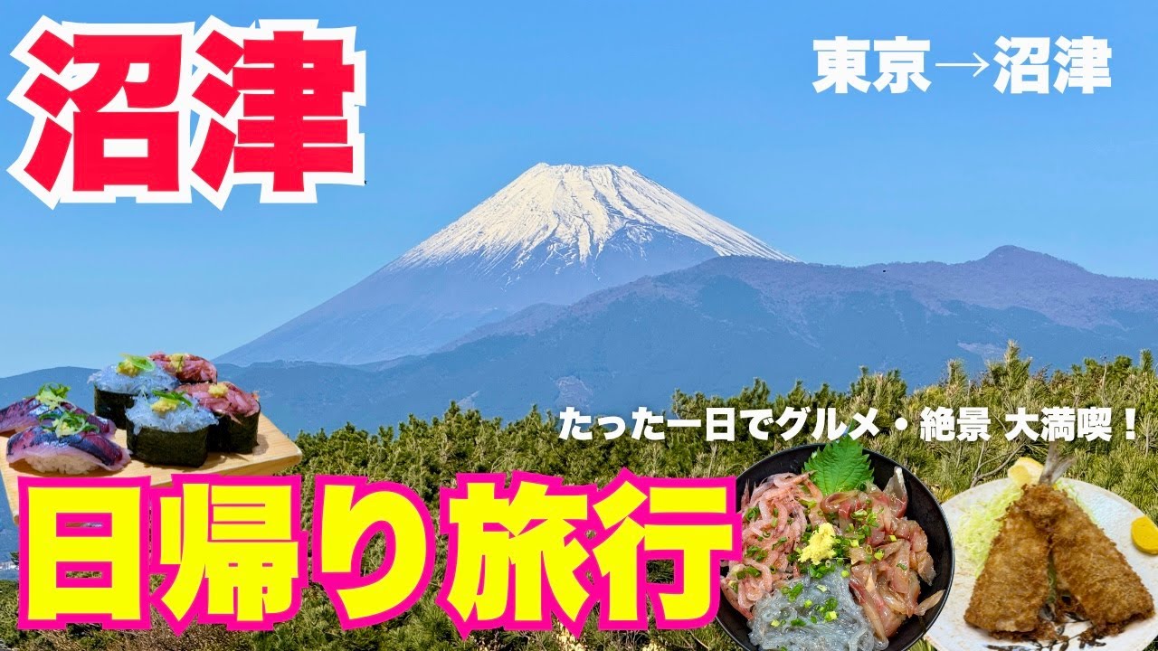 静岡県【沼津観光VLOG】日帰りで手軽に海鮮グルメ・絶景満喫旅！【失敗しないモデルコース】