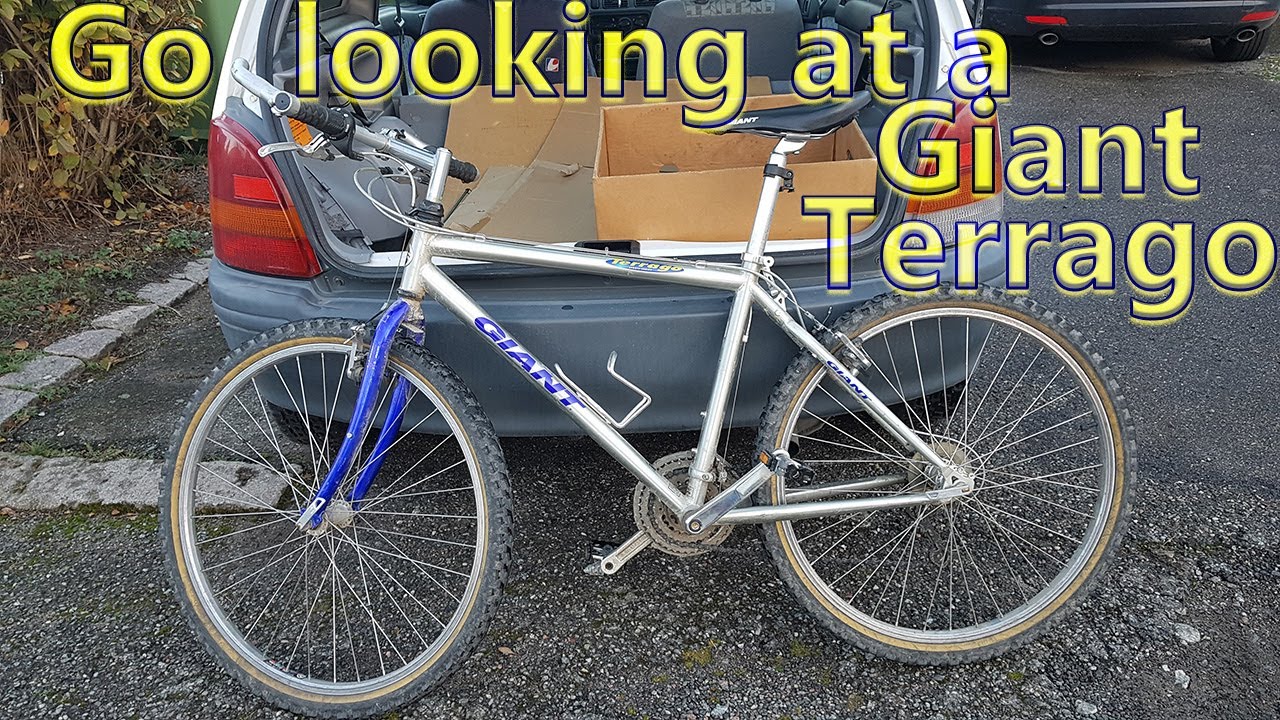 Go looking at a Giant Terrago