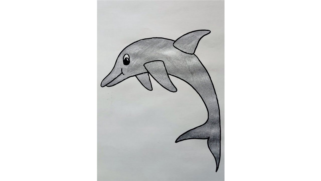 Easy Drawing of a Dolphin || Learn How to Draw a Dolphin || Kids Drawing ||