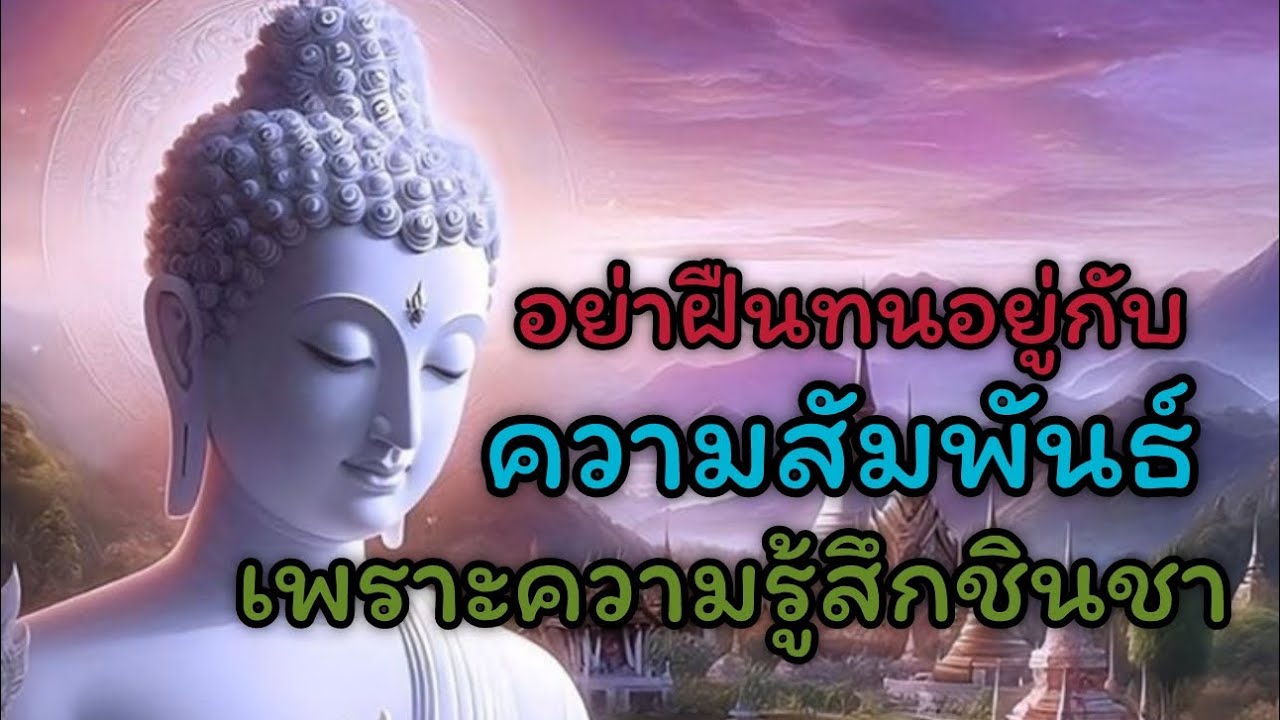 อย่าฝืนทนอยู่ในความสัมพันธ์☘️❤️เพราะความรู้สึกชินชา#dhamma #mindset #ธรรมสอนใจ #love #story ☘️❤️