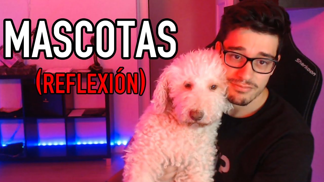 LO BONITO DE TENER UNA MASCOTA 🐶