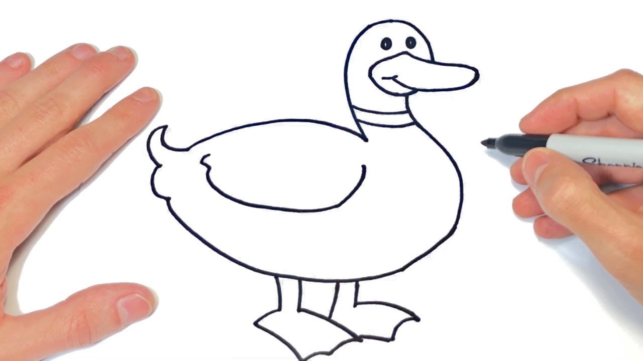 Cómo dibujar un Pato Paso a Paso | Dibujo de Pato