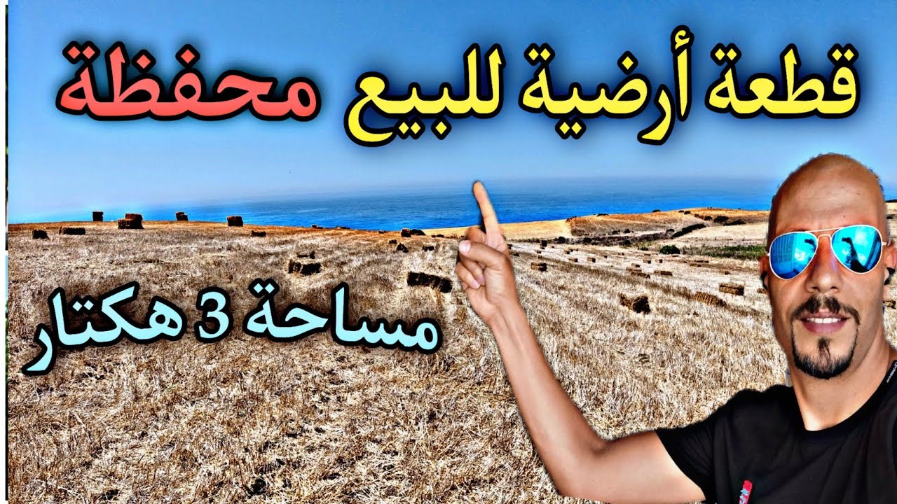 #avito_ksar_el_kebir قطعة أرضيه فلاحية فيها تلاتة هكتار نواحي مدينة العرائش قرب من شاطئ