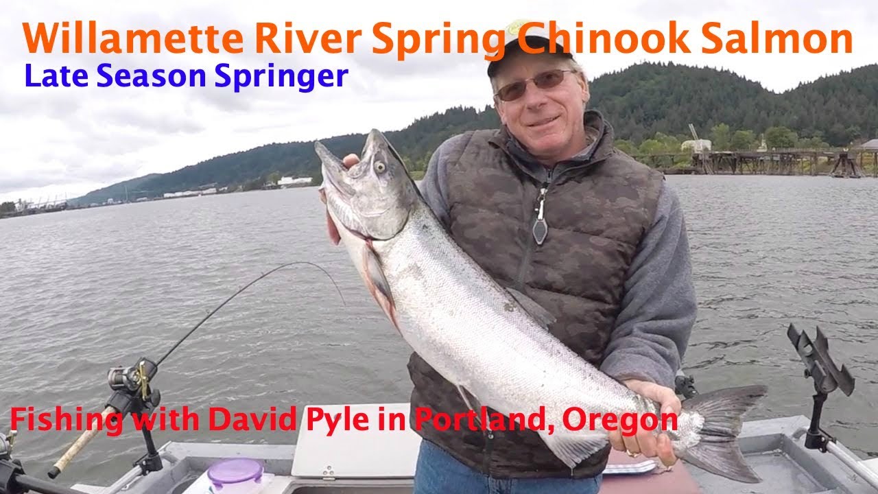 Late Season Spring Chinook Salmon fishing - Portland, Oregon June 22, 2019.