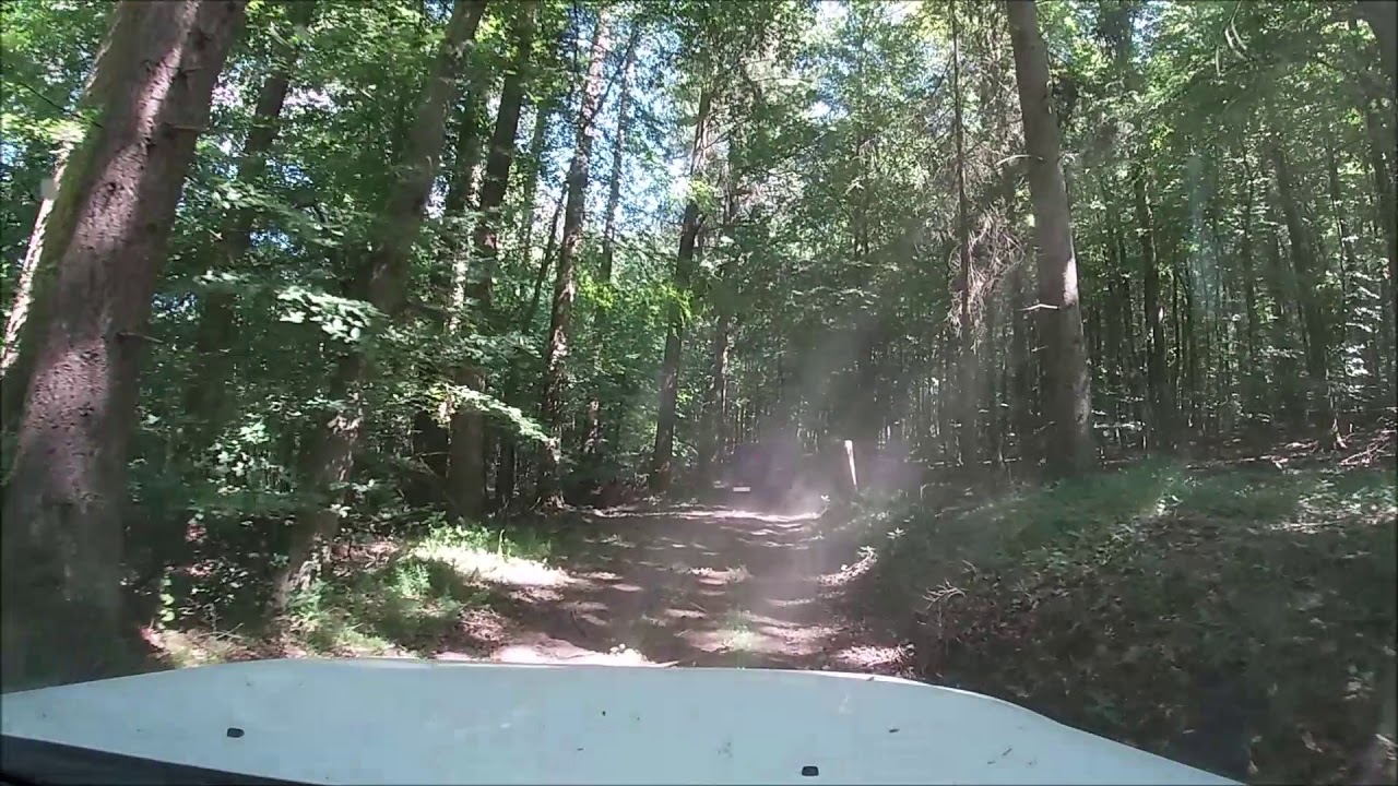 Offroad Eifel, forstgeführte Walderlebnis_Teil 2