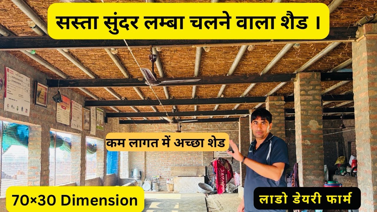 सस्ता सुंदर सालों साल चलने वाला डेयरी फार्म ऐसे बनाए ।Dairy Farm Shed Design || लाडो डेयरी फार्म ।