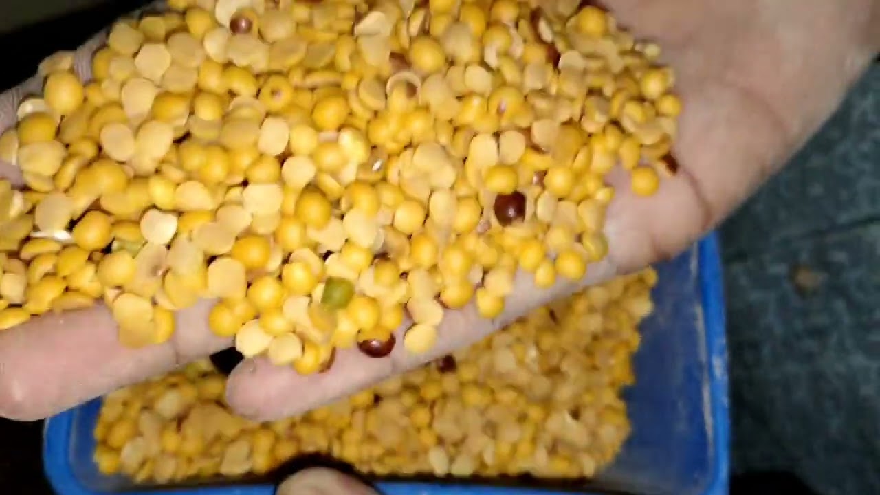 Red toor dal - Baba dall Barshi