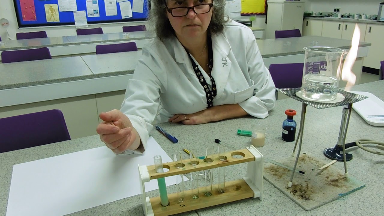 Yeast and methylene blue experiment