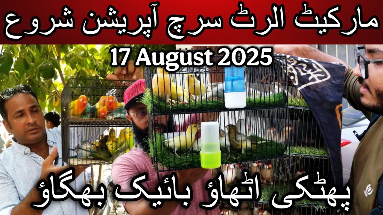 Lalukhet  birds market part 1 17 August 2025 | Cheapest price birds market in Karachi Pakistan