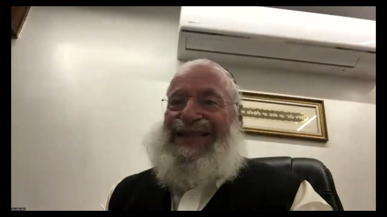 Understanding Kosev: The Framework Behind Every Case | Shiur by Rav Asher Weiss Shlit