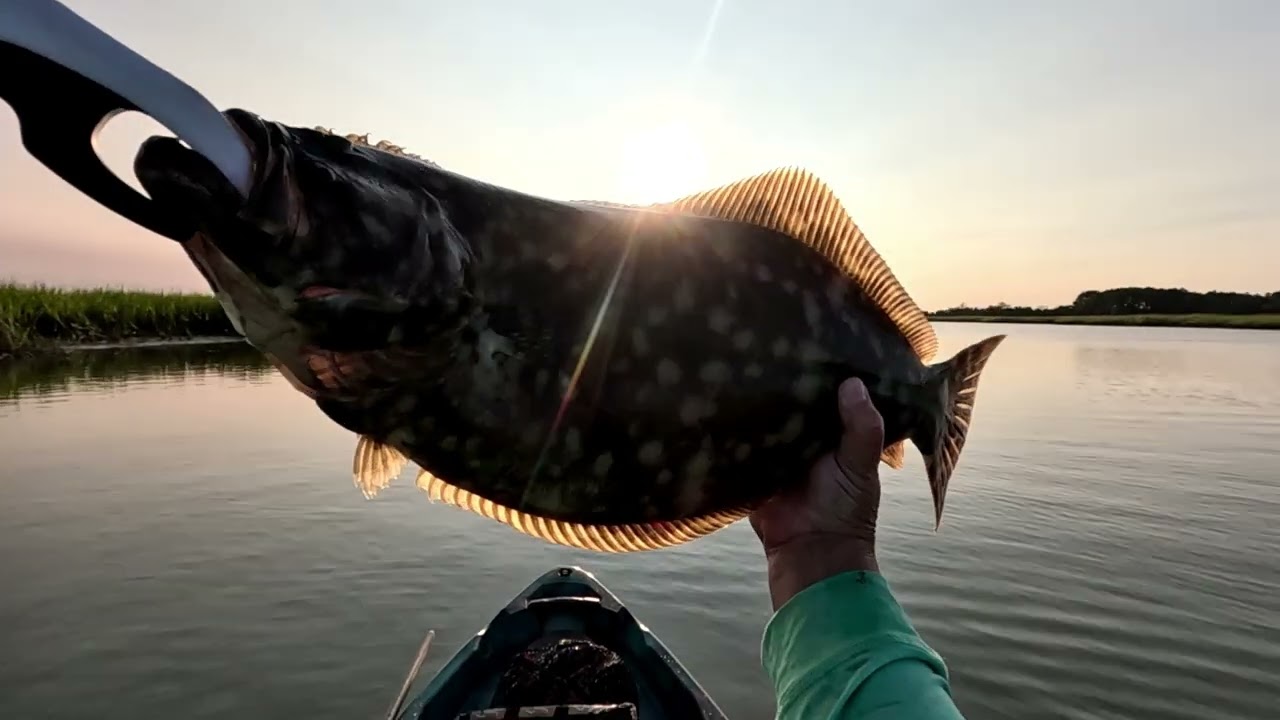 My PB Flounder, 24