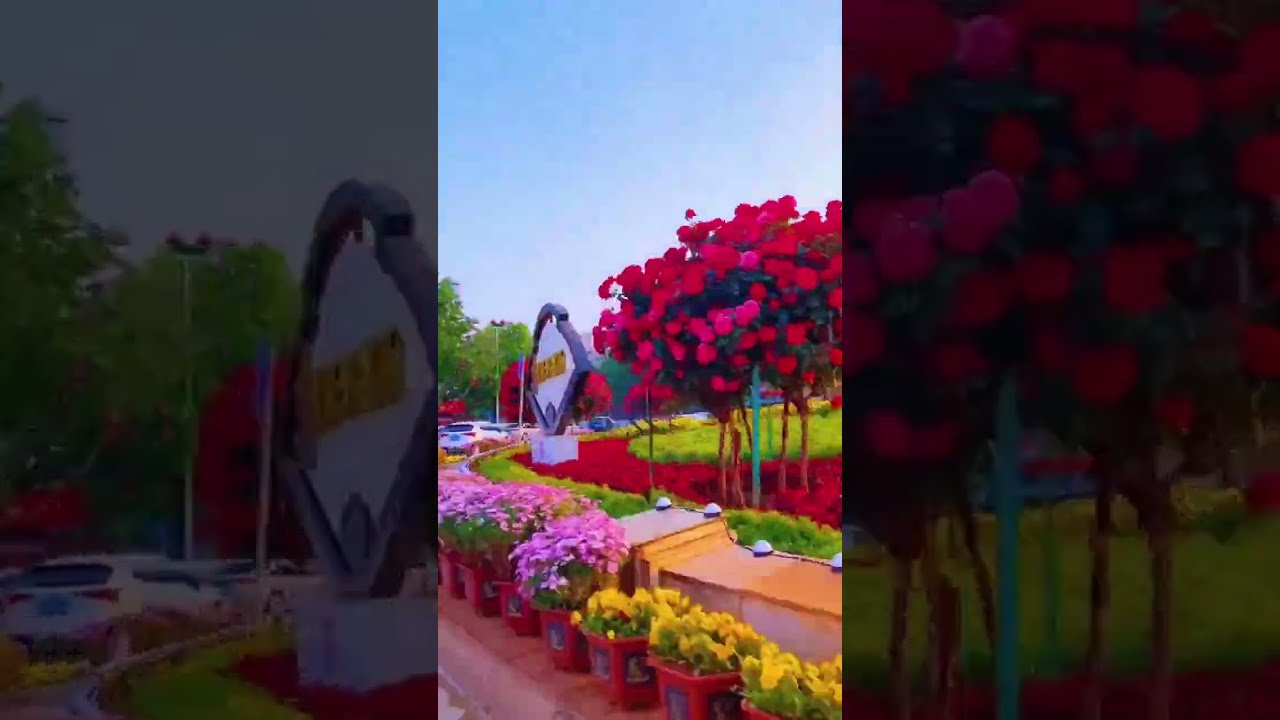Beautiful nature in 4k | natural beauty| relaxing video.#natural #relaxing #beautiful #beauty
