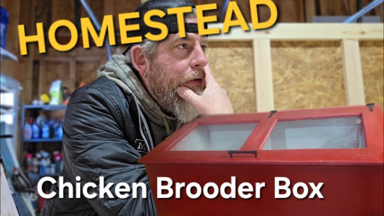 I built a brooder box!