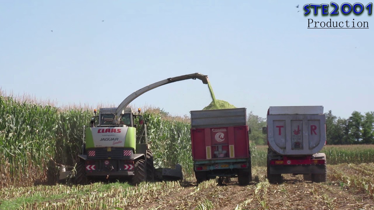 Claas Jaguar 890 SpeedStar + Case-JohnDeere &a Crosetto-Verderone |Mais Silage| T.J.R. La Portea