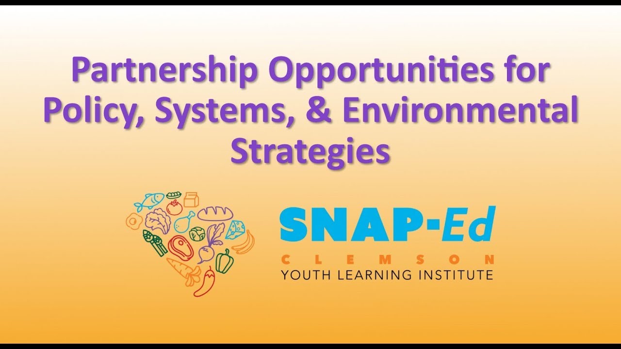 Partnership Opportunities