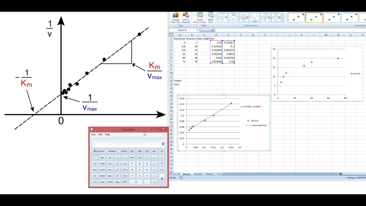 Lineweaver-Burk & Michaelis Menten Plots