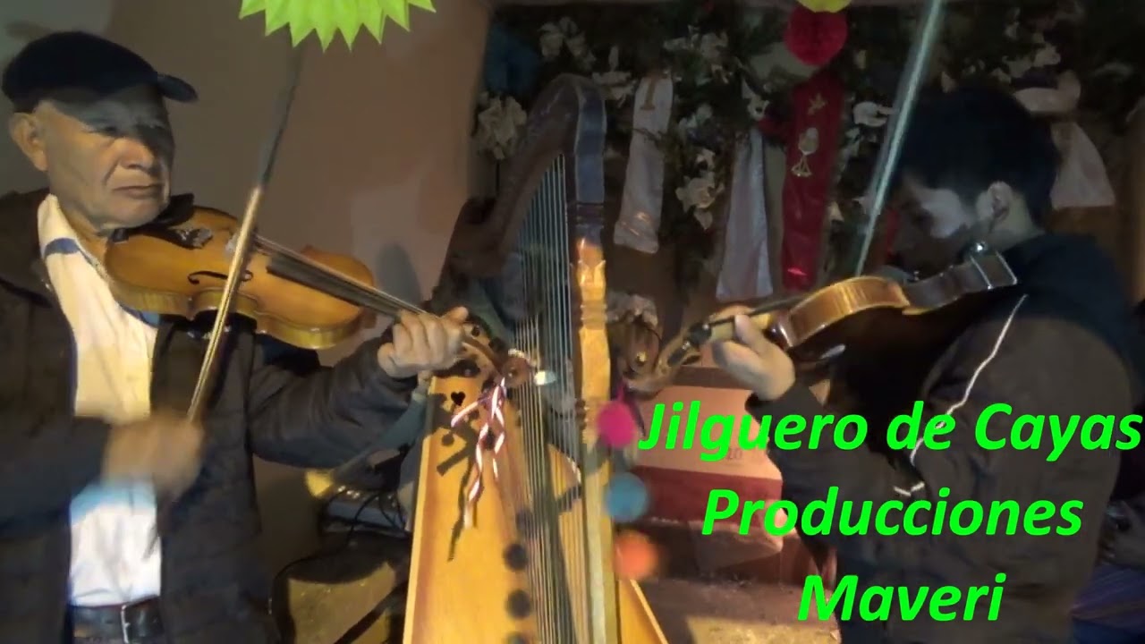 Jilgerito de Cayas en Mallas santa cruz 2025 1
