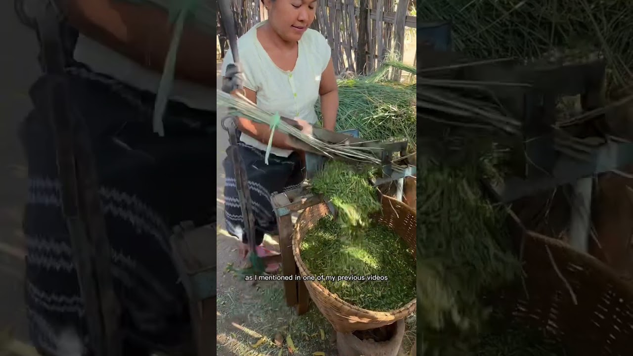 What is going on in Myanmar? #myanmar #savemyanmar #travelvlog #burmese #traveler