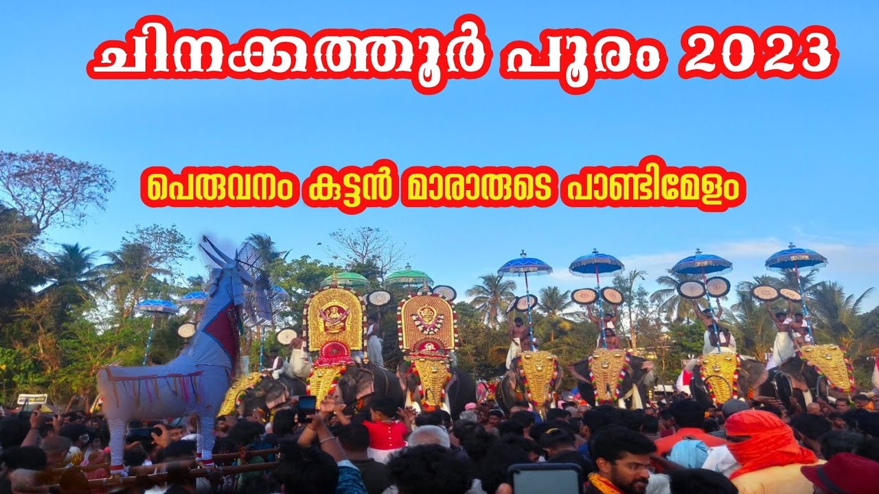 ചിനക്കത്തൂർ പൂരം 2023|Chinakkathoor Pooram 2023| Valluvanadan Pooram|Nemmara Vallanghi vela