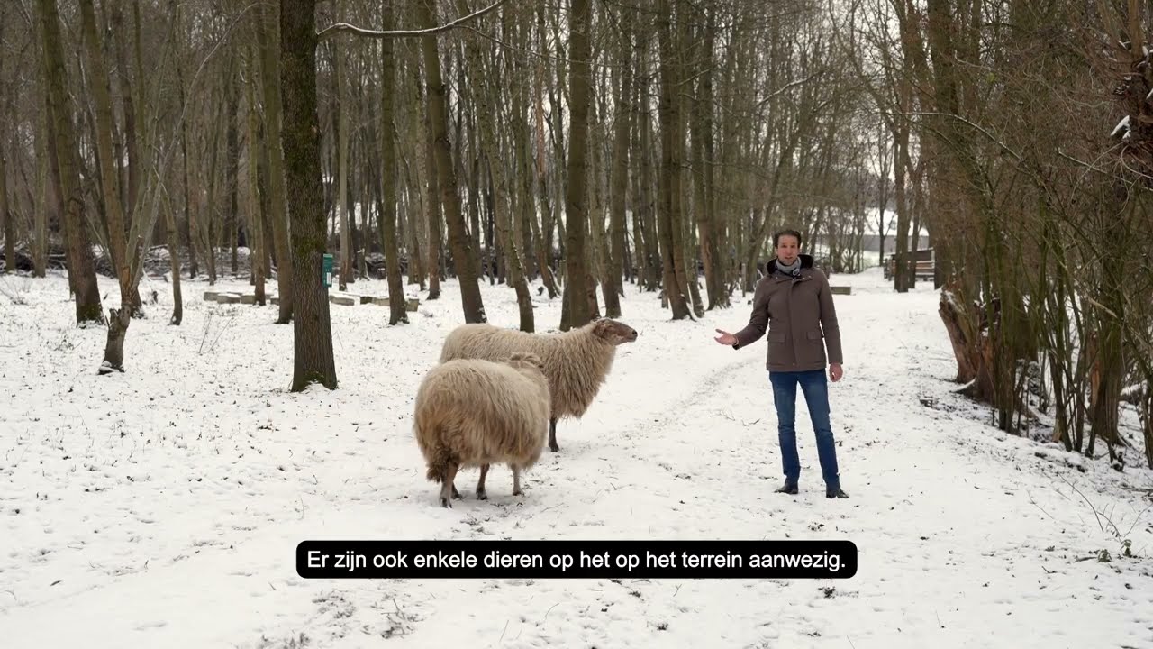 Verkoopvideo Kasteel Schaesberg