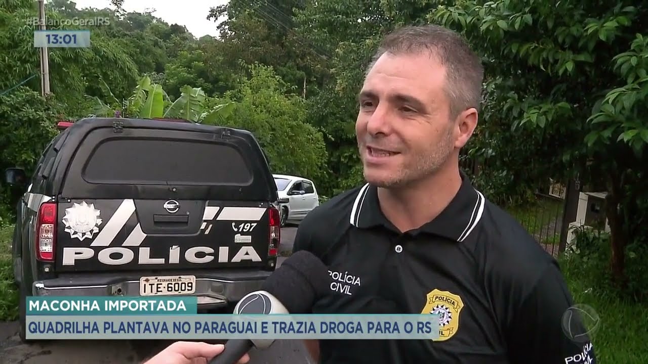 Maconha importada: quadrilha plantava no Paraguai e trazia droga para o RS
