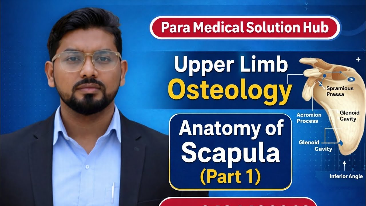 Upper limb osteology Anatomy of scapula (parts 1) easy language me all paramedical classes 