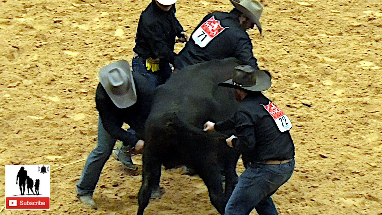 Wild Cow Milking - 2019 WRCA World Championship Ranch Rodeo (Sunday)