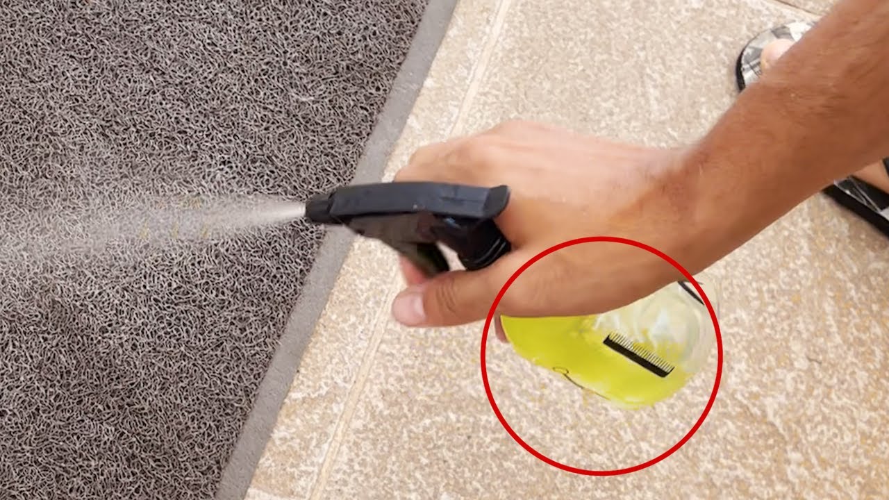 Xixi de Cachorro no lugar errado? Faça esse REPELENTE DE XIXI caseiro e diga adeus a esse problema!!