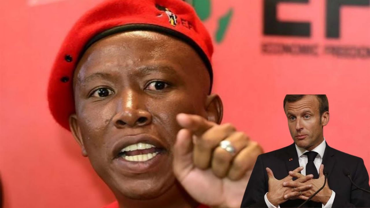 Julius Malema calls on France to stay out of African Affairs