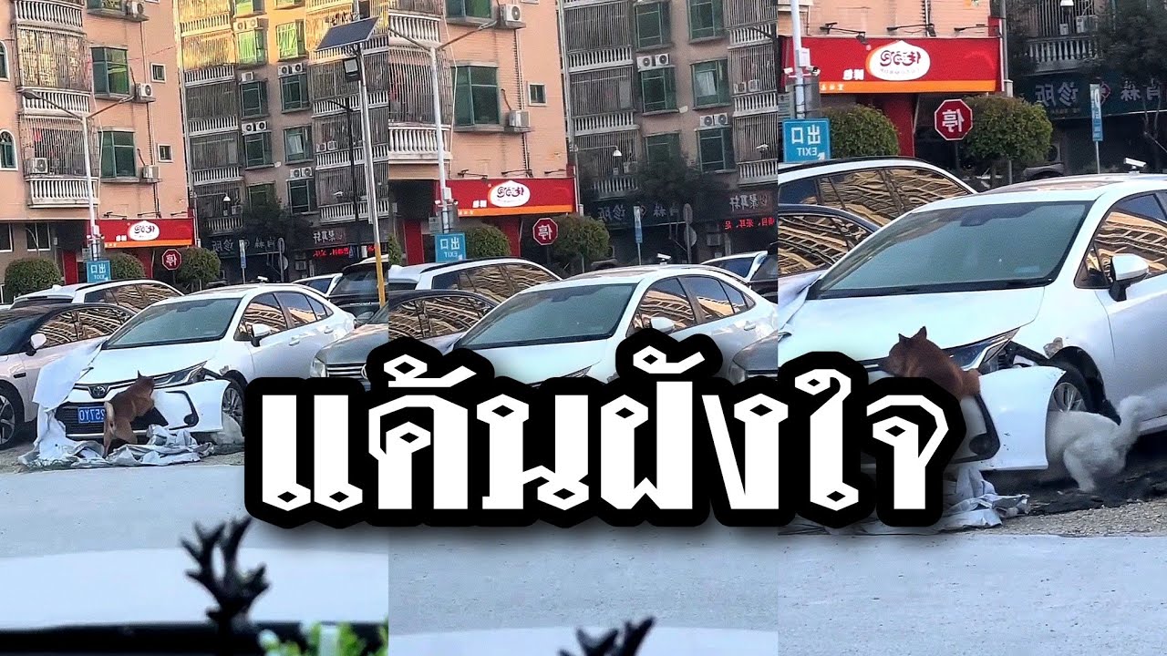 แค้นฝังใจ จะนานแค่ไหนก็ไม่มีวันลืม