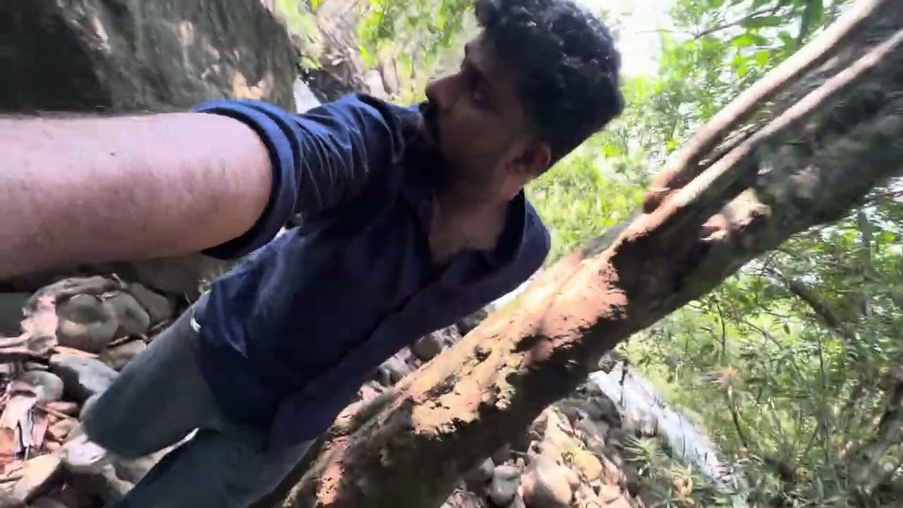 നിലമ്പൂർക്കാടിന് ഉള്ളിലേക്ക് #forest #videos #ട്രാൻഡിംഗ്