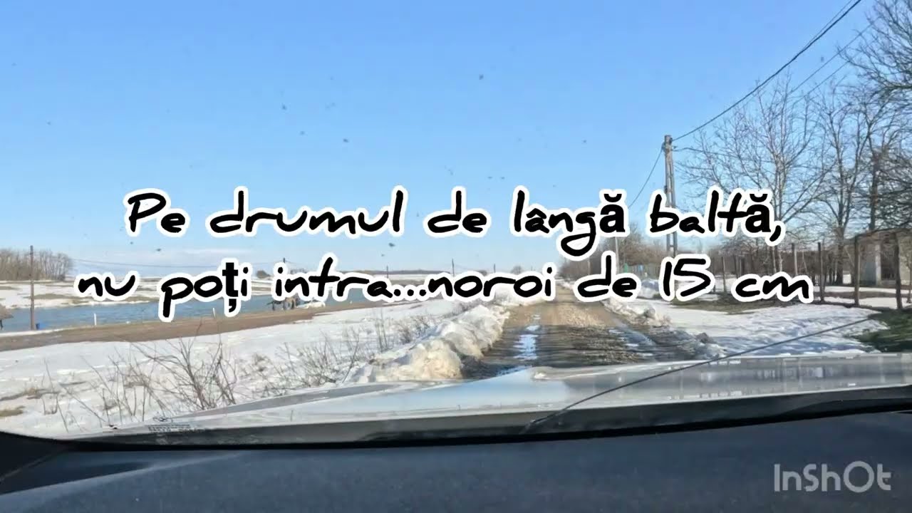 Balta Sărături,Valea Bisericii.Balta de Caras..noroi mult,cat sa aluneci în apă.Ce părere aveți ?