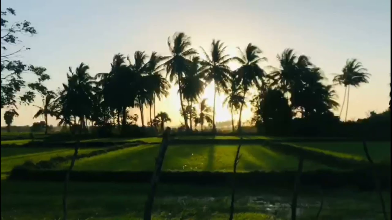 Village sunset video 💙💙