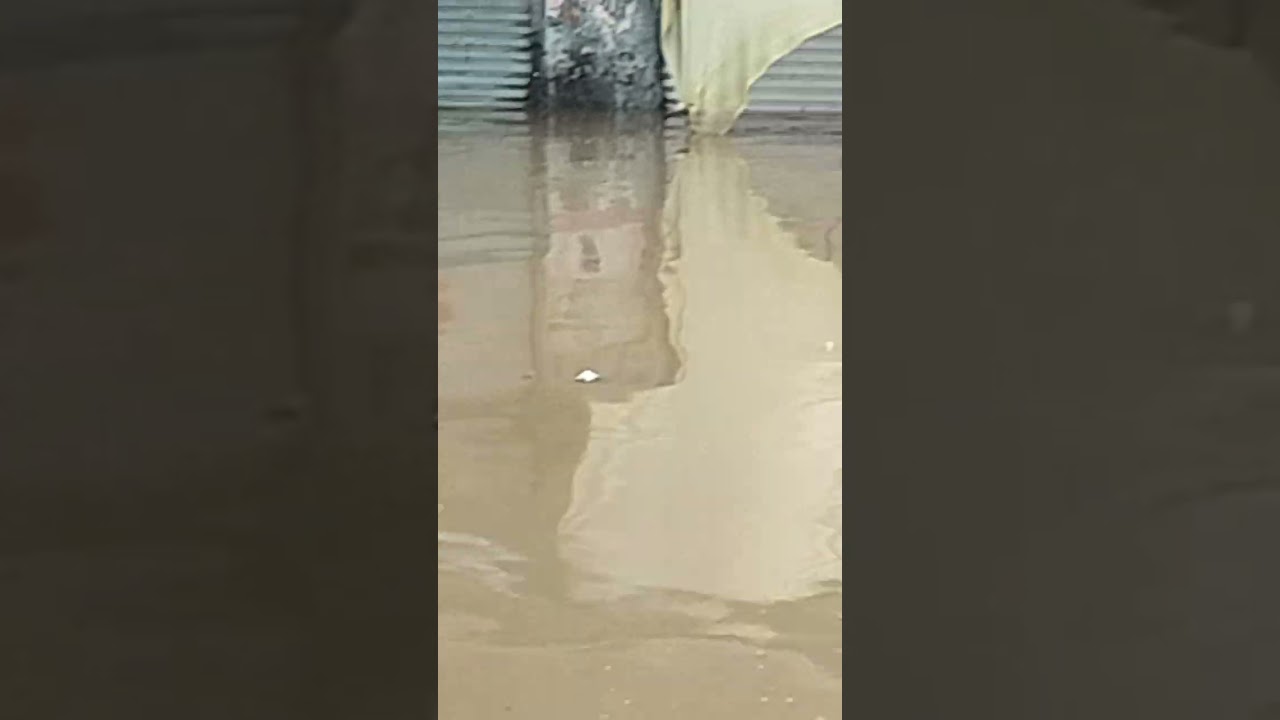 #shikarpur