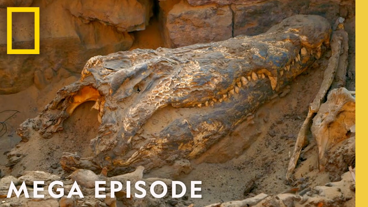 Unraveling Ancient Egypt's Secrets | Lost Treasures of Egypt MEGA Episode | National Geographic