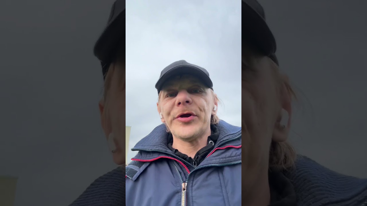 Прогулка с шарпей Филя походу у нас весна 