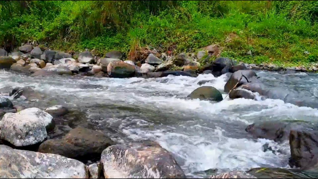 River Rapids from Afar — Softened White Noise for Concentration & Work