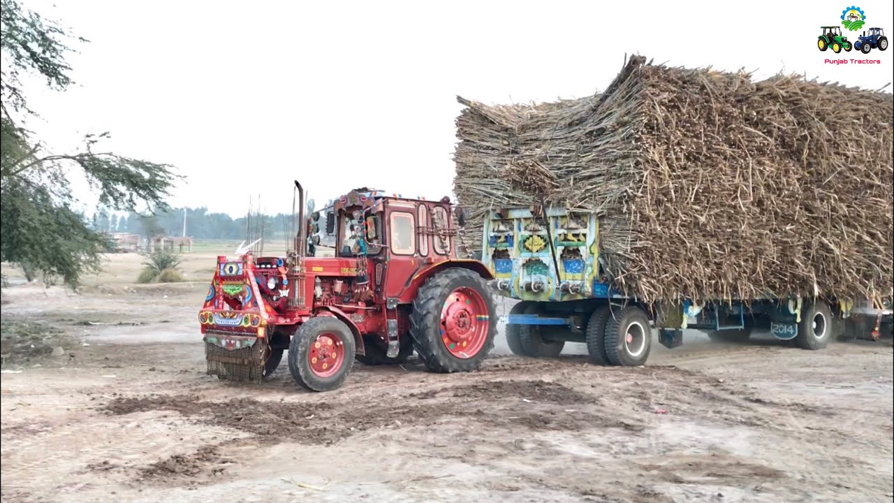Belarus 510.1 | Most Powerful Tractor with double axle Trailer | SugarCane