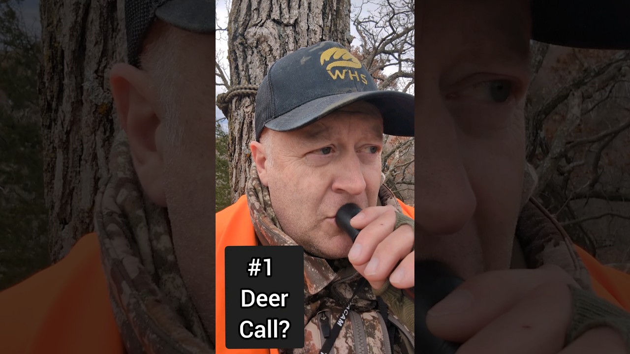 When NOT To call A Big Buck #deerhunting #bowhuntingwhitetails #bowhunting