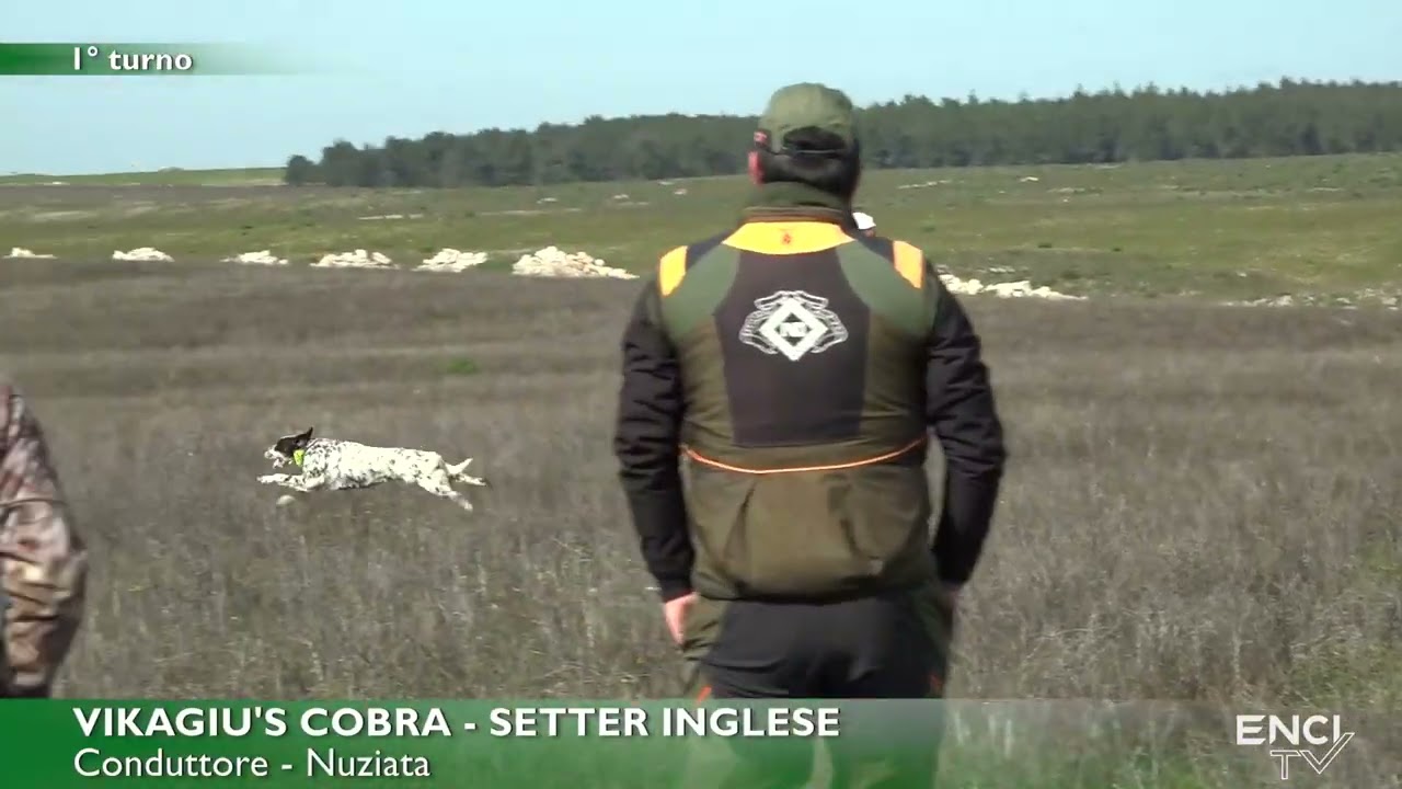 ALTAMURA 2026 - GRANDE CERCA - BATTERIA 4 DEL 24 FEBBRAIO