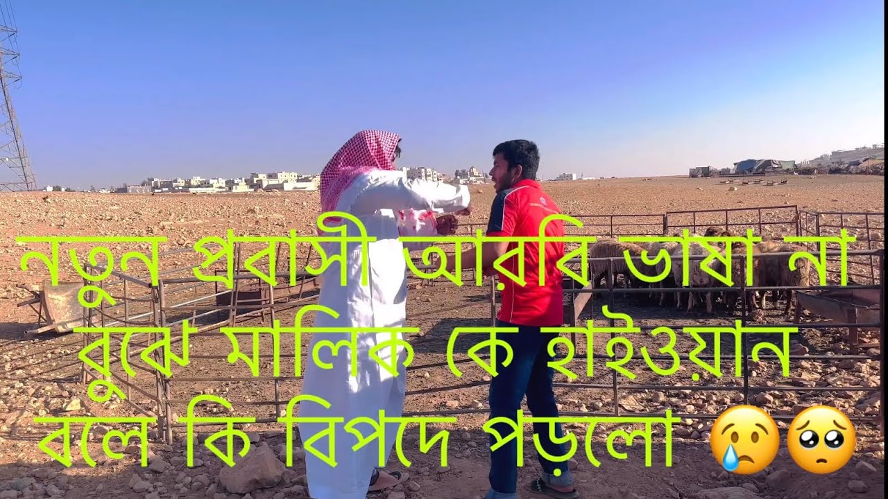 নতুন প্রবাসী আরবি ভাষা না বুঝে মালিক কে হাইওয়ান বলে কি বিপদে পড়লো😰🥺