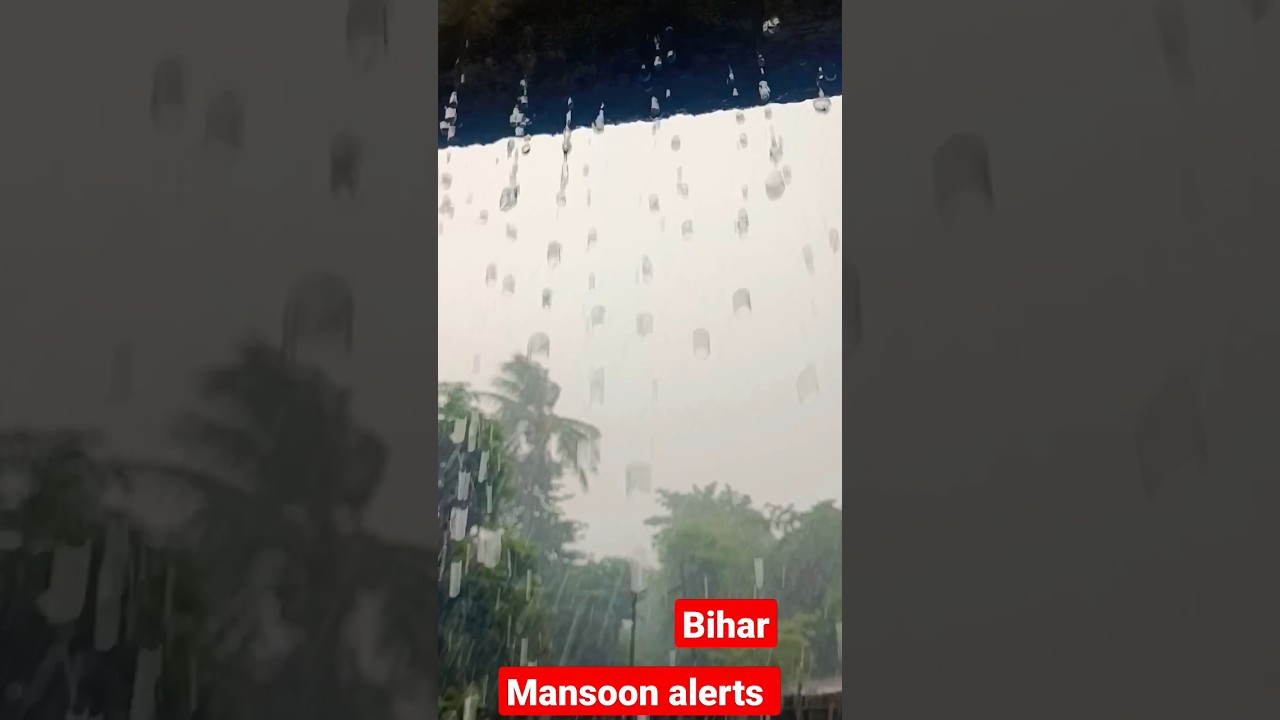 rainy season in bihar #rainy #mansoon #day #rainfall #bihar