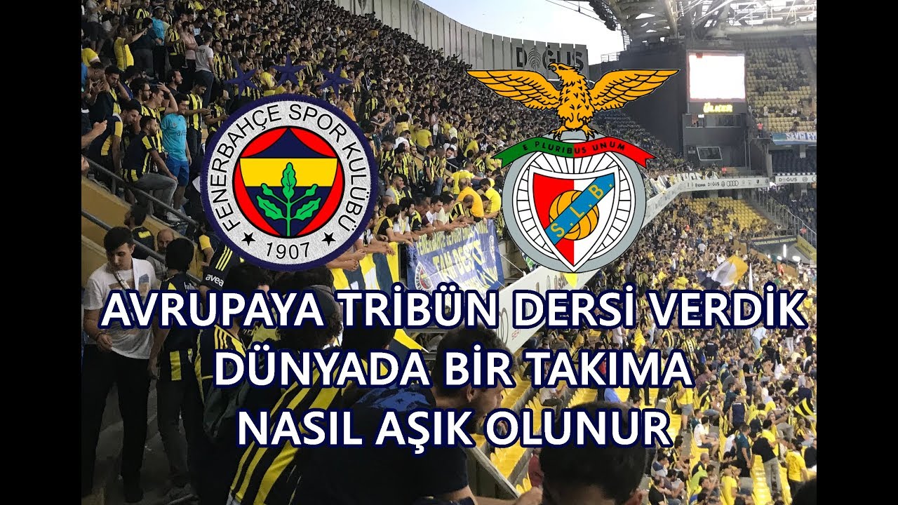 Fenerbahçemiz Benfica Geniş Tribün Özeti | Fenerbahçe TRİBÜNÜ AŞKTIR Okul açık Hayattır