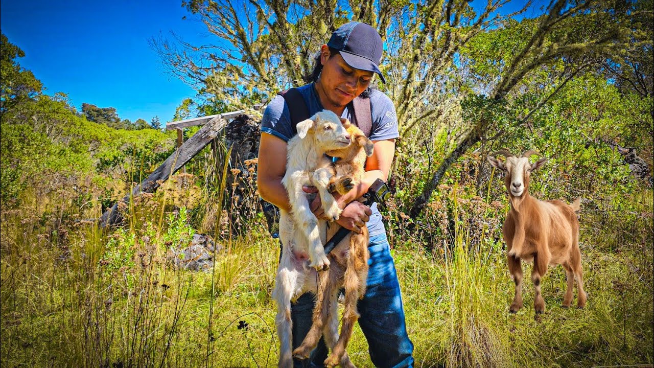 ¿Cómo vive la gente en los lugares mas aislados de Guatemala? Los últimos pastores