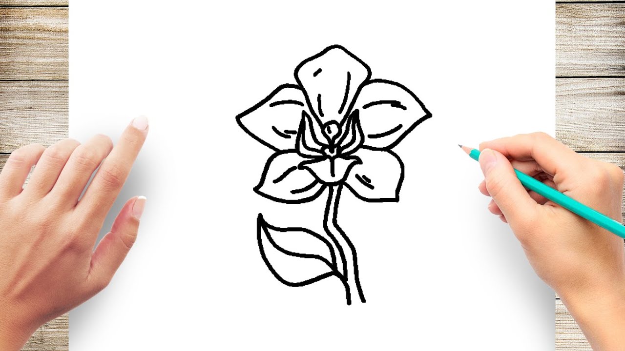 How to Draw Orchid Easy